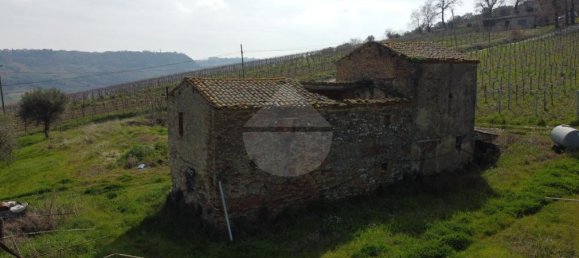 6 rooms House in Frisa, Italy No. 60377 12