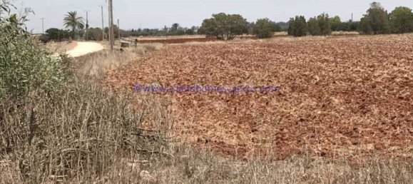  فيلا في Avgorou, Cyprus رقم 24094 3