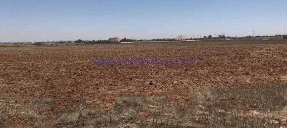  فيلا في Avgorou, Cyprus رقم 24094 5