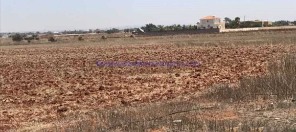  فيلا في Avgorou, Cyprus رقم 24094 4