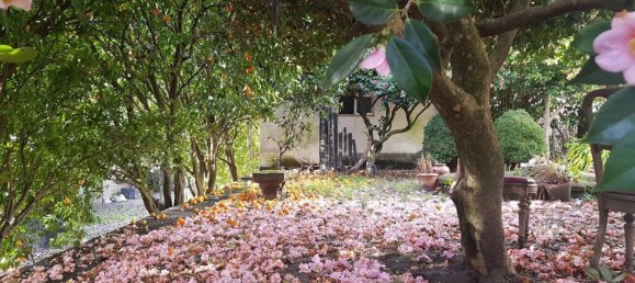 4 bedrooms House in Vila Real, Portugal No. 124425 18