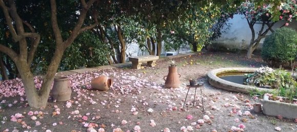 4 bedrooms House in Vila Real, Portugal No. 124425 10