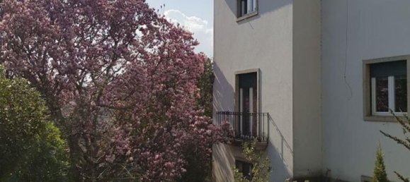 4 bedrooms House in Vila Real, Portugal No. 124425 3