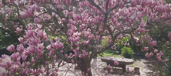 4 bedrooms House in Vila Real, Portugal No. 124425 21