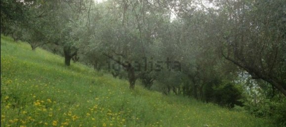 4 chambres Maison à Ciorlano, Italy No. 332809 23