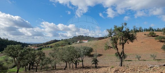 3 bedrooms House in Santa Clara a Velha, Portugal No. 40254 36