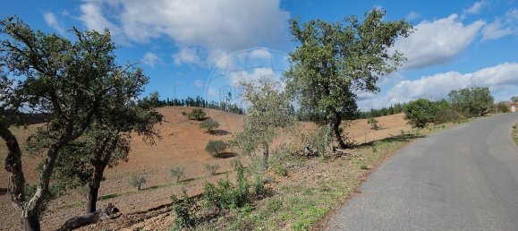 3 bedrooms House in Santa Clara a Velha, Portugal No. 40254 37