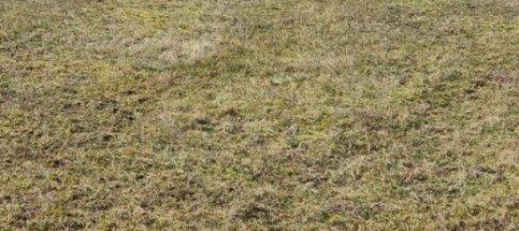 Terreno en Oberpullendorf, Austria No. 32872 2