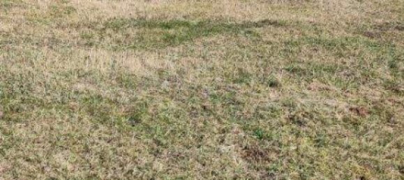 Terreno en Oberpullendorf, Austria No. 32872 3