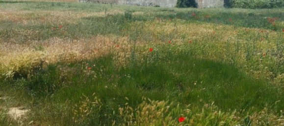 1565m² Land in San Andres del Rabanedo, Spain No. 84791 8