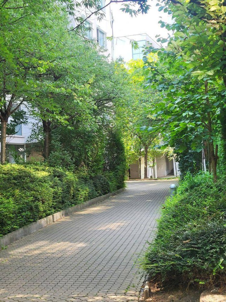 Apartamento de 2 dormitorios en Leopoldstadt, Austria No. 213019