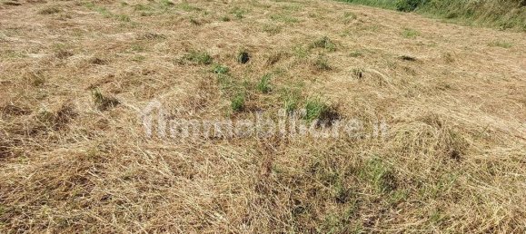 2 bedrooms Villa in Lugo, Italy No. 295555 42