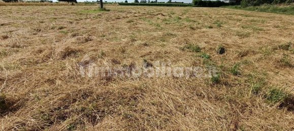 2 bedrooms Villa in Lugo, Italy No. 295555 41