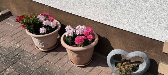 5 rooms House in Lahn-Dill, Germany No. 272432 5