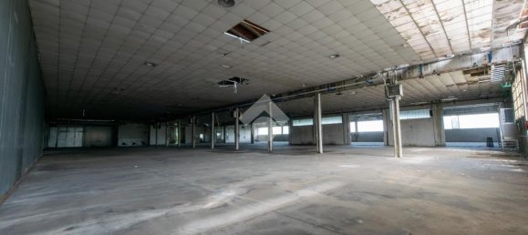 Almacén de 9 habitaciónes en San Giorgio Monferrato, Italy No. 287973 14