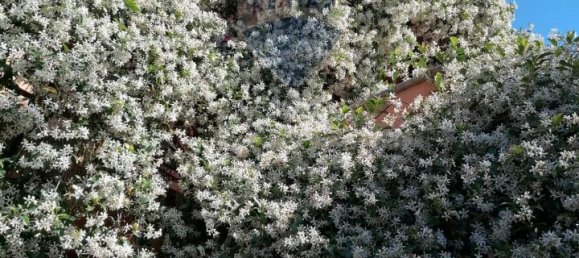 5 rooms Apartment in Rome, Italy No. 136219 40