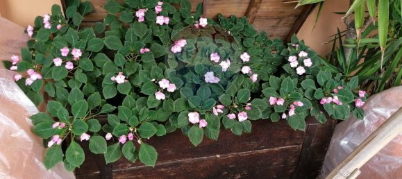 5 rooms Apartment in Rome, Italy No. 136219 46