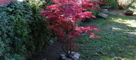 5 rooms Apartment in Rome, Italy No. 136219 41