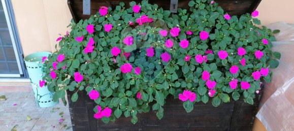 5 rooms Apartment in Rome, Italy No. 136219 45