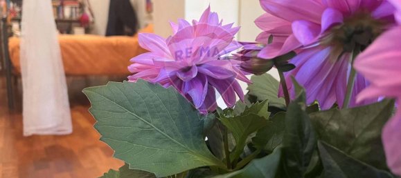 5 rooms Apartment in Rome, Italy No. 136219 11