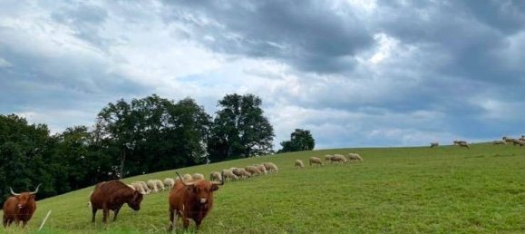 6 rooms Townhouse in Bergheim, Austria No. 240613 7