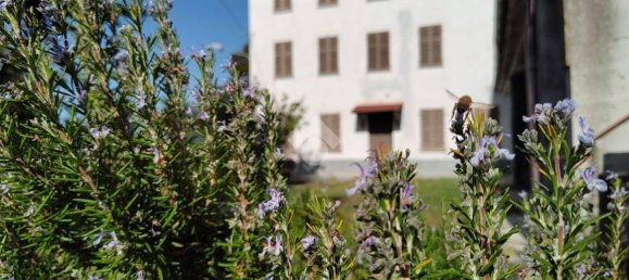 4 chambres Maison à Pontestura, Italy No. 222202 51