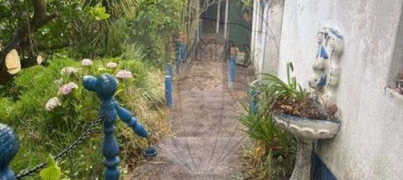 Gewerbliche Immobilie in Ericeira, Portugal 245m², Nr. 288724 2