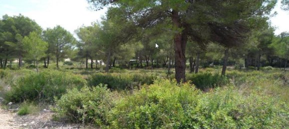  Land in Alicante, Spain No. 142894 4