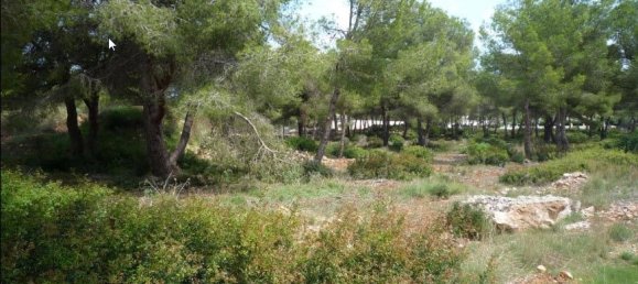  Land in Alicante, Spain No. 142894 3