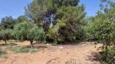18826m² Land in El Vendrell, Spain No. 252886