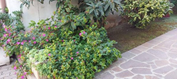 2غرفة شقة في Paderno Dugnano, Italy رقم 37248 28