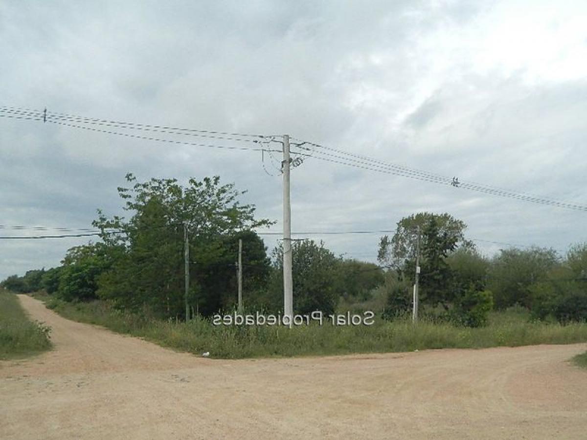 Grundstück in Canelones, Uruguay, Nr. 15776