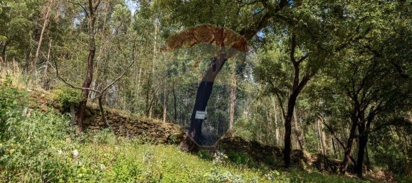 4 Schlafzimmer Haus in Mansores, Portugal, Nr. 176877 23