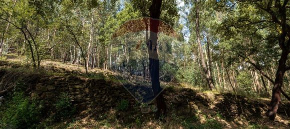 4 Schlafzimmer Haus in Mansores, Portugal, Nr. 176877 25