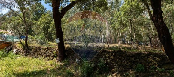 4 Schlafzimmer Haus in Mansores, Portugal, Nr. 176877 24