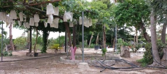 7 bedrooms House in Alicante, Spain No. 121720 5