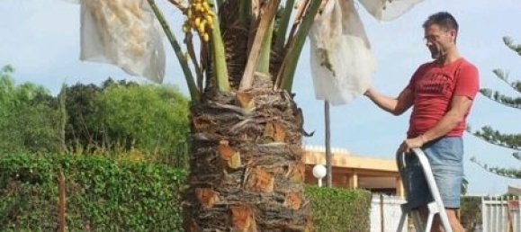 7 bedrooms House in Alicante, Spain No. 121720 3