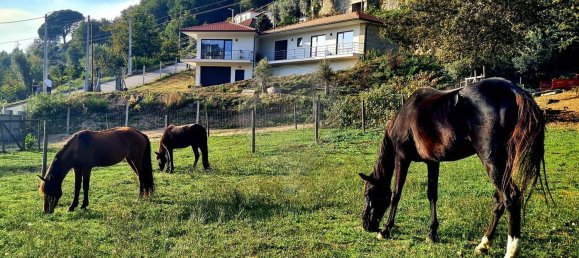 3 bedrooms House in Cantelaes, Portugal No. 168141 16