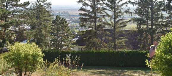 4 rooms House in Grosshoflein, Austria No. 145883 4