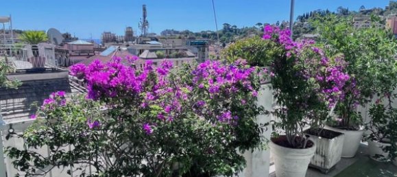 4 rooms Penthouse in Rapallo, Italy No. 259984 21