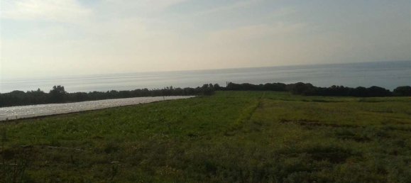  Land in Elis, Greece No. 873 4