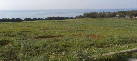  Land in Elis, Greece No. 873 12