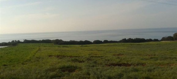  Land in Elis, Greece No. 873 2