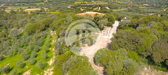 6 chambres Villa à Palau, Italy No. 19375 4