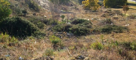 Terreno en Darque, Portugal No. 65532 17