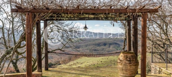 43 rooms House in Radicondoli, Italy No. 84293 43