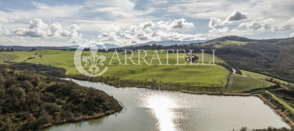 43 rooms House in Radicondoli, Italy No. 84293 6