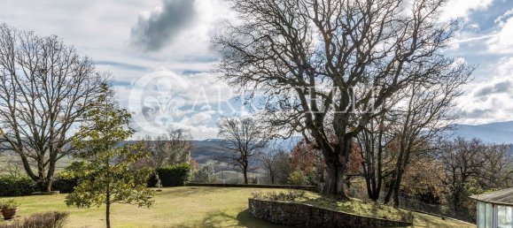 43 rooms House in Radicondoli, Italy No. 84293 40