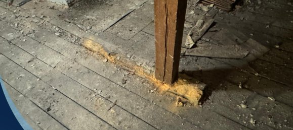 Adosado de 12 habitaciónes en Stendal, Germany No. 171750 12