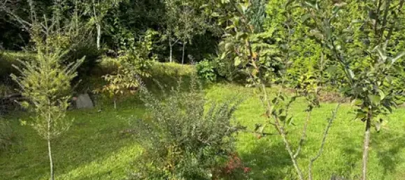 1 chambre Maison de ville à Siegen-Wittgenstein, Germany No. 156840 3